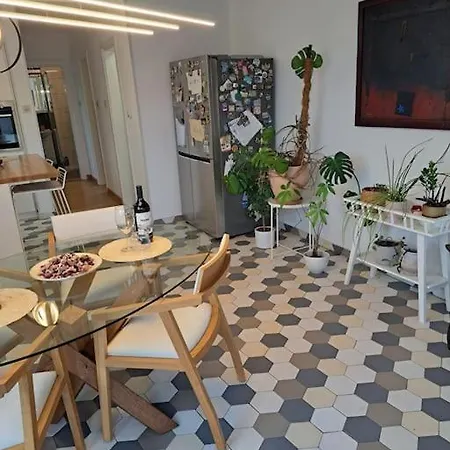 Penthouse Vida Apartment Dusanovac