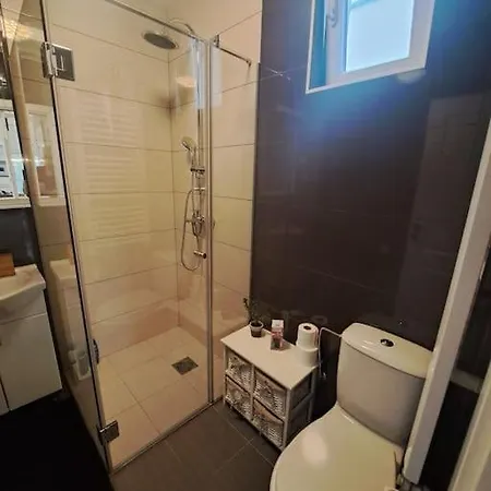 Apartment Penthouse Vida